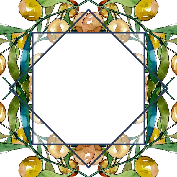 Ramo d'ulivo con frutto nero e verde. Acquerello sfondo illustrazione set. Quadrato ornamento bordo cornice . — Foto stock