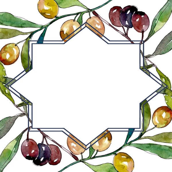 Rama de olivo con fruta negra y verde. Conjunto de ilustración de fondo acuarela. Marco borde ornamento cuadrado . - foto de stock