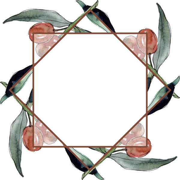 Olivenzweig mit schwarzen und grünen Früchten. Aquarell Hintergrundillustration Set. Aquarellzeichnung Modeaquarell isoliert. Rahmen Rand Ornament Quadrat. — Stockfoto