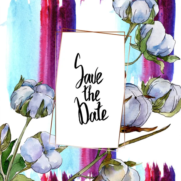 Cotton botanical flowers. Watercolor background illustration set isolated on white. Frame border ornament with save the date lettering. — Stock Photo