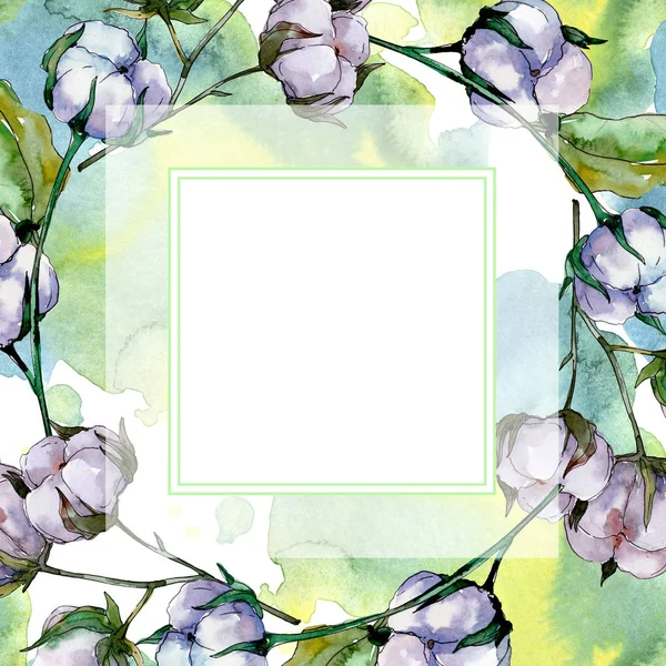 Fleur botanique florale en coton. Feuille sauvage de printemps fleur sauvage isolée. Ensemble d'illustration de fond aquarelle. Aquarelle dessin mode aquarelle isolé. Cadre bordure ornement carré . — Photo de stock