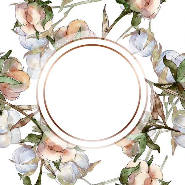 Botanische Blumen aus weißer Baumwolle. Aquarell Hintergrundillustration Set. Rahmen Rand Kristall Ornament mit Kopierraum. — Stockfoto