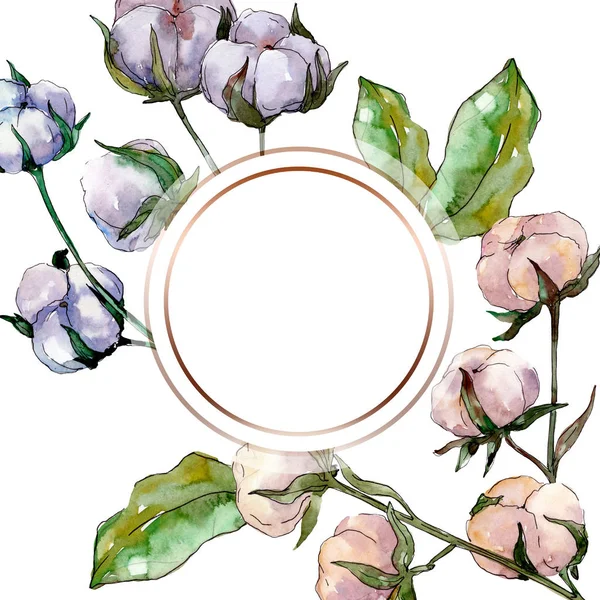 Fleur botanique florale en coton. Feuille sauvage de printemps fleur sauvage isolée. Ensemble d'illustration de fond aquarelle. Aquarelle dessin mode aquarelle isolé. Cadre bordure ornement carré . — Photo de stock