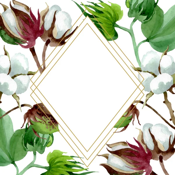 Fleur botanique florale en coton blanc. Feuille sauvage de printemps fleur sauvage isolée. Ensemble d'illustration de fond aquarelle. Aquarelle dessin mode aquarelle. Cadre bordure ornement carré . — Photo de stock