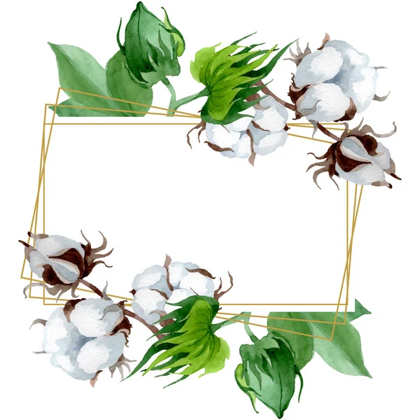 Flor botánica floral de algodón blanco. Flor silvestre de hoja de primavera. Conjunto de ilustración de fondo acuarela. Acuarela dibujo moda aquarelle. Marco borde cristal ornamento cuadrado . - foto de stock