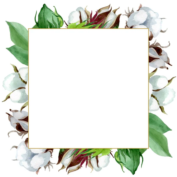 Flor botánica floral de algodón blanco. Flor silvestre de hoja de primavera aislada. Conjunto de ilustración de fondo acuarela. Acuarela dibujo moda aquarelle. Marco borde ornamento cuadrado . - foto de stock