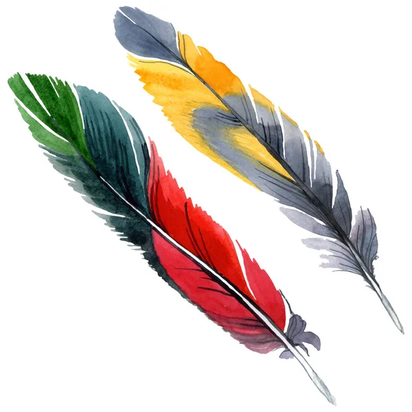 Pluma colorida de pájaro de ala aislada. Conjunto de ilustración de fondo acuarela. Elemento de ilustración de plumas aisladas . - foto de stock