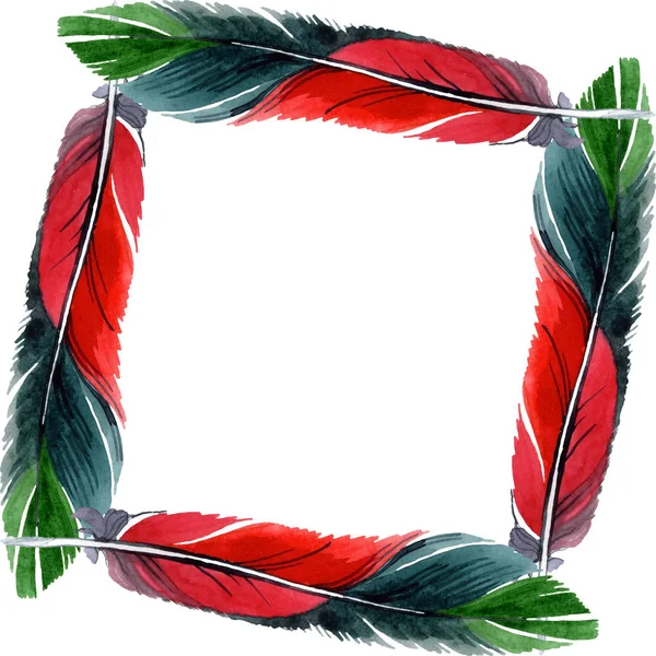 Красочное птичье перо из изолированного крыла. Набор акварельных фонов. Граничный орнамент . — стоковое фото