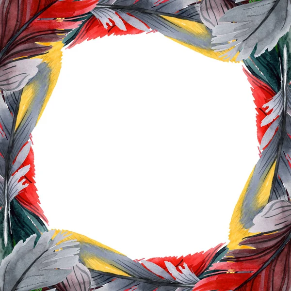 Bunte Vogelfeder vom Flügel isoliert. Aquarell Hintergrundillustration Set. Rahmen Rand Ornament Quadrat. — Stockfoto