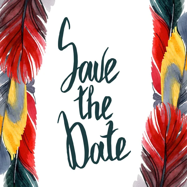 Colorful bird feather from wing isolated. Watercolor background illustration set. Frame border ornament square. — Stock Photo
