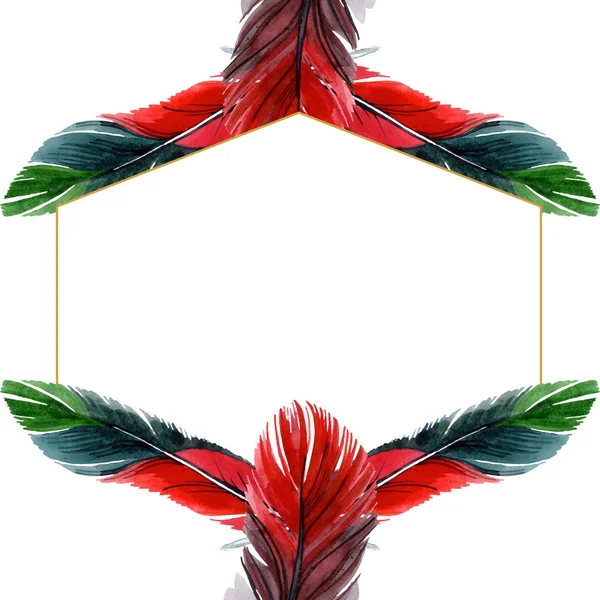 Pluma colorida de pájaro de ala aislada. Conjunto de ilustración de fondo acuarela. Marco borde ornamento cuadrado . - foto de stock