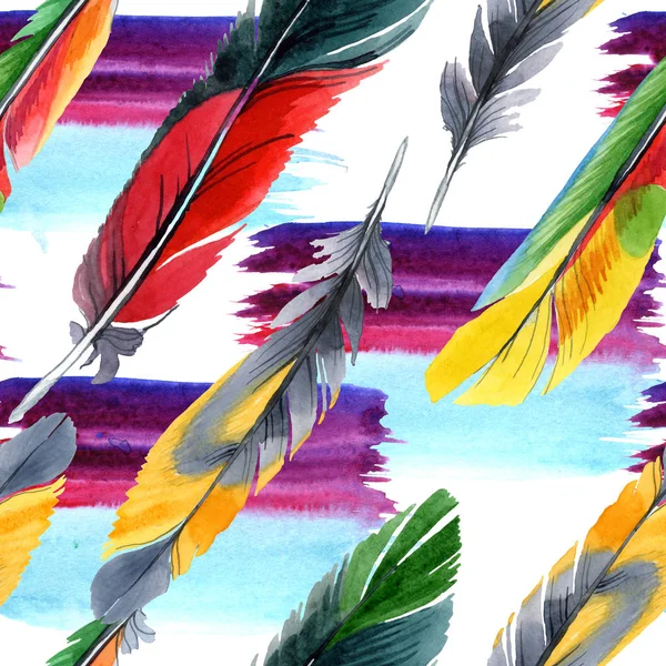 Colorful bird feather from wing isolated. Watercolour drawing fashion aquarelle. Fabric wallpaper print texture. — Stock Photo