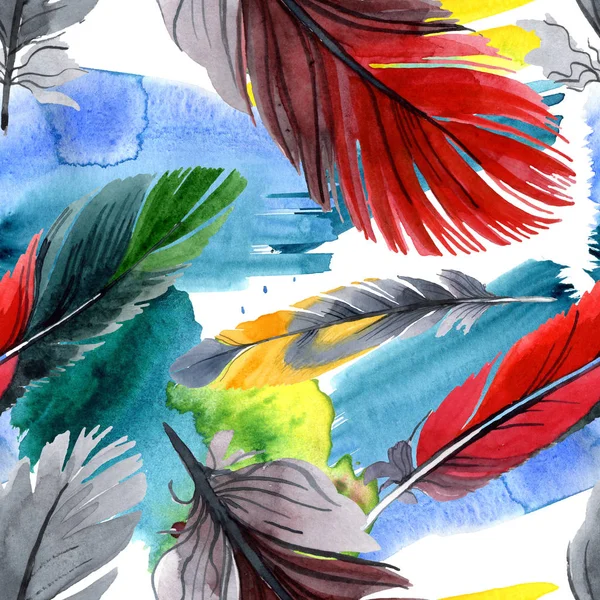 Colorful bird feather from wing isolated. Watercolour drawing fashion aquarelle. Fabric wallpaper print texture. — Stock Photo