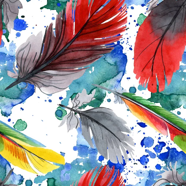 Colorful bird feather from wing isolated. Watercolour drawing fashion aquarelle. Fabric wallpaper print texture. — Stock Photo