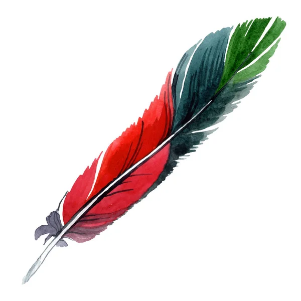 Красочное птичье перо из изолированного крыла. Набор акварельных фонов. Изолированный элемент иллюстрации пера . — стоковое фото