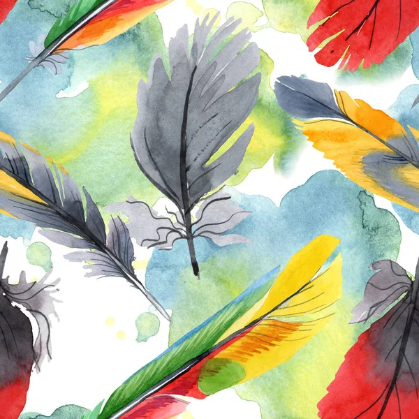 Colorful bird feather from wing isolated. Watercolour drawing fashion aquarelle. Fabric wallpaper print texture. — Stock Photo