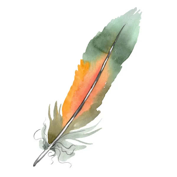 Colorful bird feather from wing isolated. Watercolor background illustration set. Isolated feather illustration element. — Stock Photo