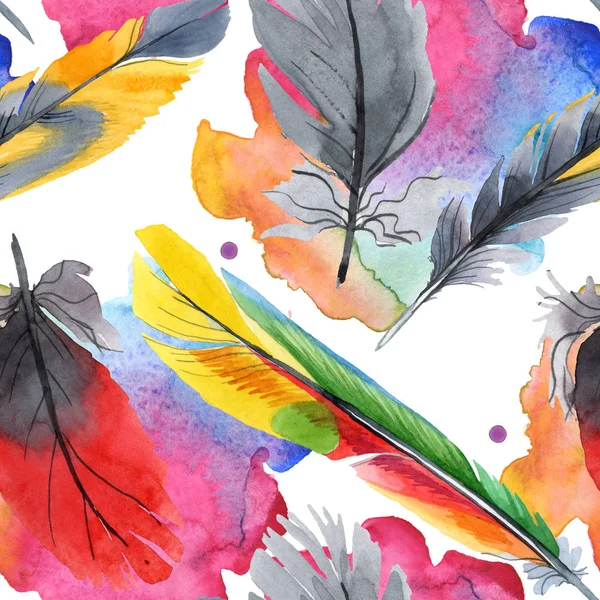 Colorful bird feather from wing isolated. Watercolour drawing fashion aquarelle. Fabric wallpaper print texture. — Stock Photo