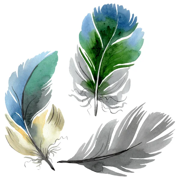 Plume d'oiseau colorée de l'aile isolée. Ensemble d'illustration de fond aquarelle. Élément isolé d'illustration de plumes . — Photo de stock