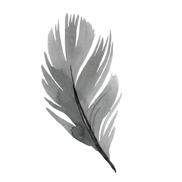 Piuma d'uccello variopinta da ala isolata. Acquerello sfondo illustrazione set. Elemento di illustrazione piuma isolata . — Foto stock