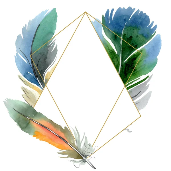 Pluma colorida de pájaro de ala aislada. Conjunto de ilustración de fondo acuarela. Marco borde ornamento cuadrado . - foto de stock