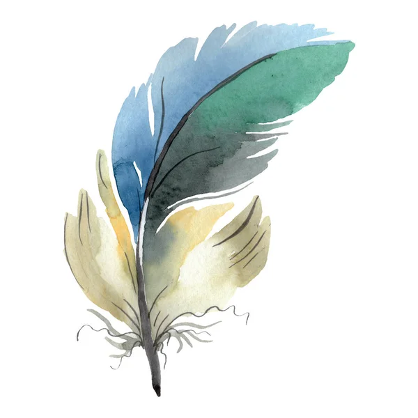 Colorful bird feather from wing isolated. Watercolor background illustration set. Isolated feather illustration element. — Stock Photo