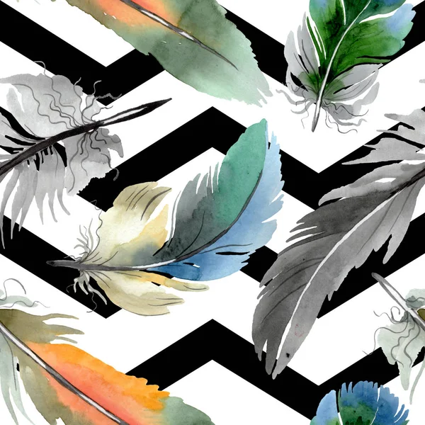 Colorful bird feather from wing isolated. Watercolor background illustration set. Seamless background pattern. — Stock Photo