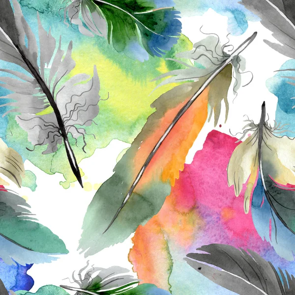 Plume d'oiseau colorée de l'aile isolée. Ensemble d'illustration de fond aquarelle. Modèle de fond sans couture . — Photo de stock