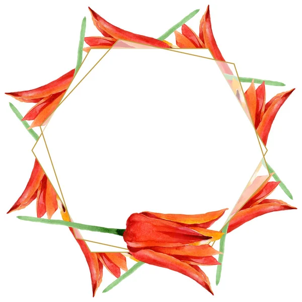 Orangefarbene Tulpenblüten. Aquarell Hintergrundillustration Set. Rahmen Rand Ornament Quadrat. — Stockfoto