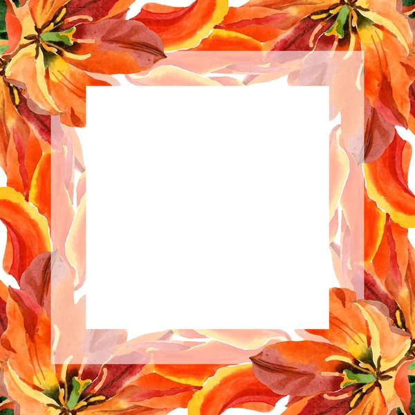 Orange tulip floral botanical flowers. Watercolor background illustration set. Frame border ornament square. — Stock Photo