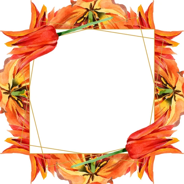 Orangefarbene Tulpenblüten. Aquarell Hintergrundillustration Set. Rahmen Rand Ornament Quadrat. — Stockfoto