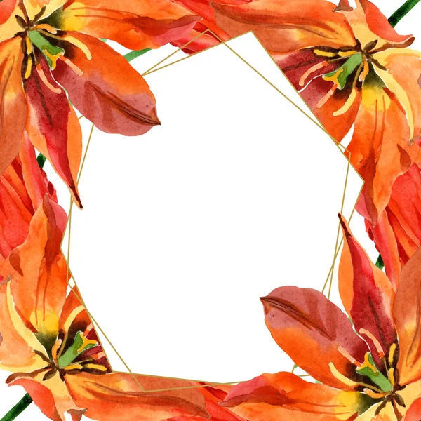 Orangefarbene Tulpenblüten. Aquarell Hintergrundillustration Set. Rahmen Rand Ornament Quadrat. — Stockfoto