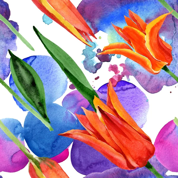 Laranja tulipa flores botânicas florais. Conjunto de ilustração de fundo aquarela. Padrão de fundo sem costura . — Fotografia de Stock