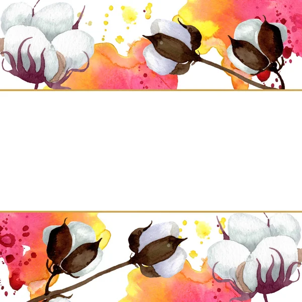 Fiori botanici floreali in cotone bianco. Acquerello sfondo illustrazione set. Quadrato ornamento bordo cornice . — Foto stock