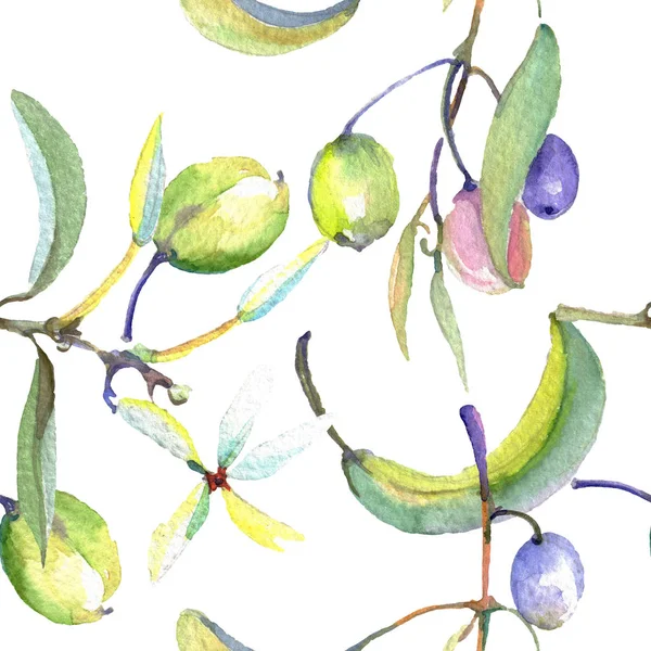 Ramo de azeitona com fruta preta e verde. Conjunto de ilustração de fundo aquarela. Padrão de fundo sem costura . — Fotografia de Stock