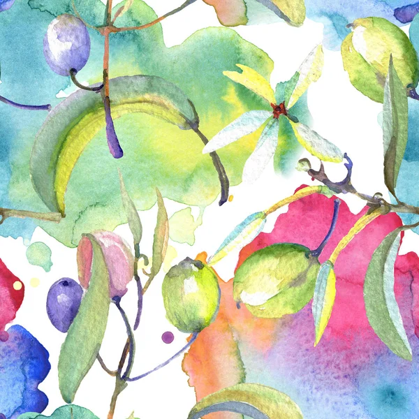 Branche d'olivier aux fruits noirs et verts. Ensemble d'illustration de fond aquarelle. Modèle de fond sans couture . — Photo de stock