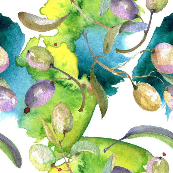 Branche d'olivier aux fruits noirs et verts. Ensemble d'illustration de fond aquarelle. Modèle de fond sans couture . — Photo de stock