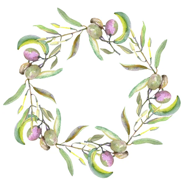 Olive branch with black and green fruit. Watercolor background illustration set. Frame border ornament square. — Stock Photo