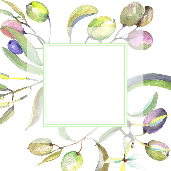 Olive branch with black and green fruit. Watercolor background illustration set. Frame border ornament square. — Stock Photo