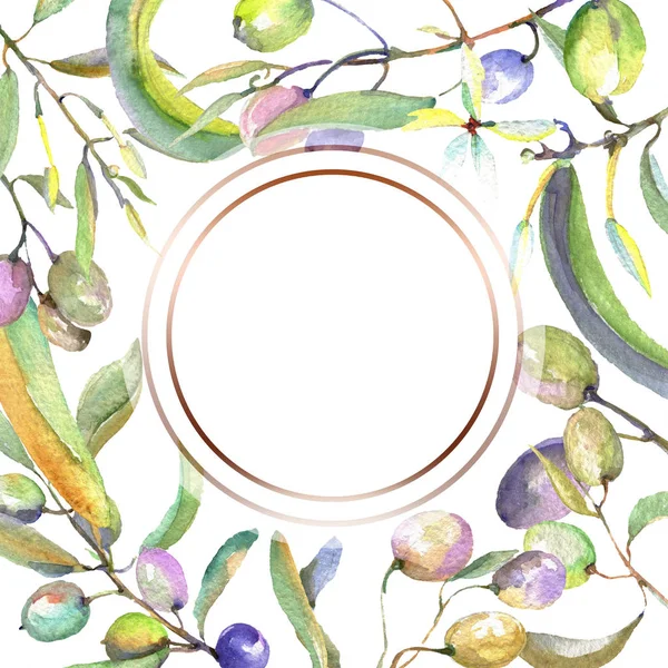 Olive branch with black and green fruit. Watercolor background illustration set. Frame border ornament square. — Stock Photo