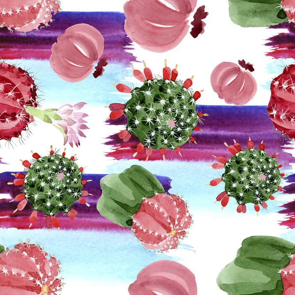 Conjunto de ilustración de acuarela de cactus rojo y verde. Patrón de fondo sin costuras . - foto de stock