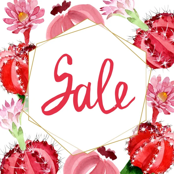 Red and green cacti isolated on white watercolor illustration set with sale lettering — Stock Photo
