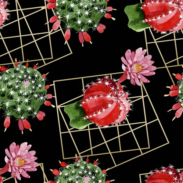 Ensemble d'illustration aquarelle cactus rouge et vert. Modèle de fond sans couture . — Photo de stock