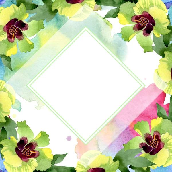 Flores botânicas florais de algodão. Folha selvagem primavera wildflower isolado. Conjunto de ilustração de fundo aquarela. Aquarelle desenho aquarelle moda isolado. Quadro borda ornamento quadrado . — Fotografia de Stock