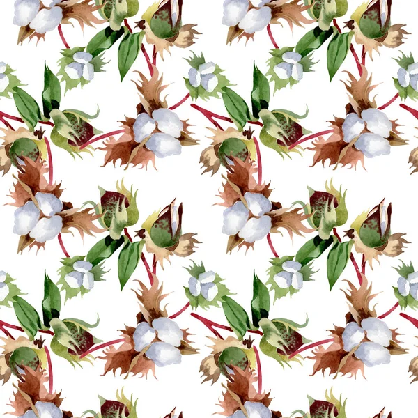 Cotton floral botanical flowers. Wild spring leaf wildflower. Watercolor illustration set. Watercolour drawing fashion aquarelle. Seamless background pattern. Fabric wallpaper print texture. — Stock Photo