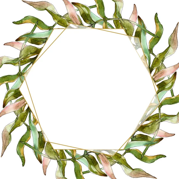 Esotici foglie tropicali estate hawaiana. Acquerello sfondo illustrazione set. Quadrato ornamento bordo cornice . — Foto stock