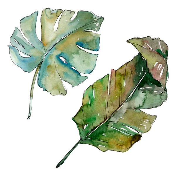 Été hawaïen tropical exotique. Palm plage arbre feuilles jungle botanique. Ensemble d'illustration de fond aquarelle. Aquarelle dessin mode aquarelle isolé. Feuilles isolées élément d'illustration . — Photo de stock