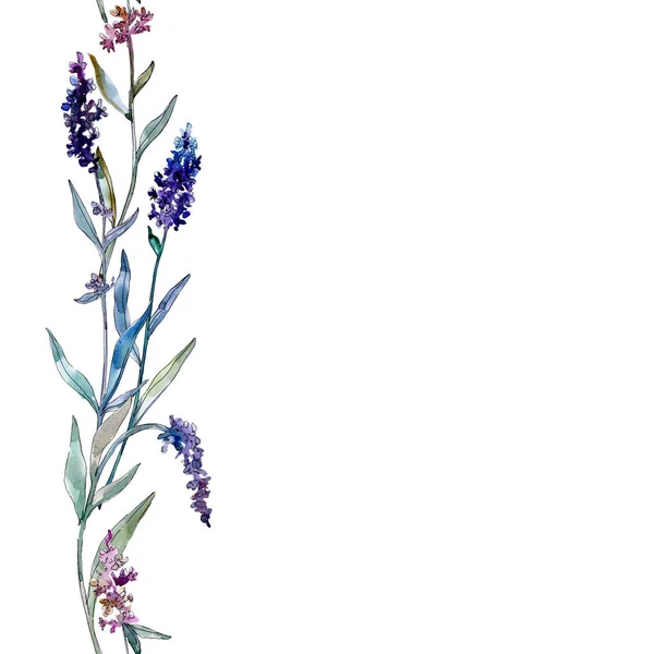 Lavendel blühende botanische Blumen. Aquarell Hintergrundillustration Set. nahtloses Hintergrundmuster. — Stockfoto