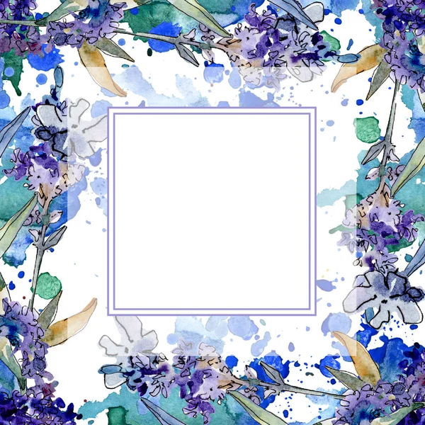 Lavender floral botanical flowers. Watercolor background illustration set. Frame border ornament square. — Stock Photo