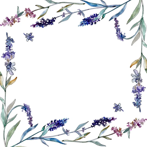 Fiori botanici floreali di lavanda. Acquerello sfondo illustrazione set. Quadrato ornamento bordo cornice . — Foto stock